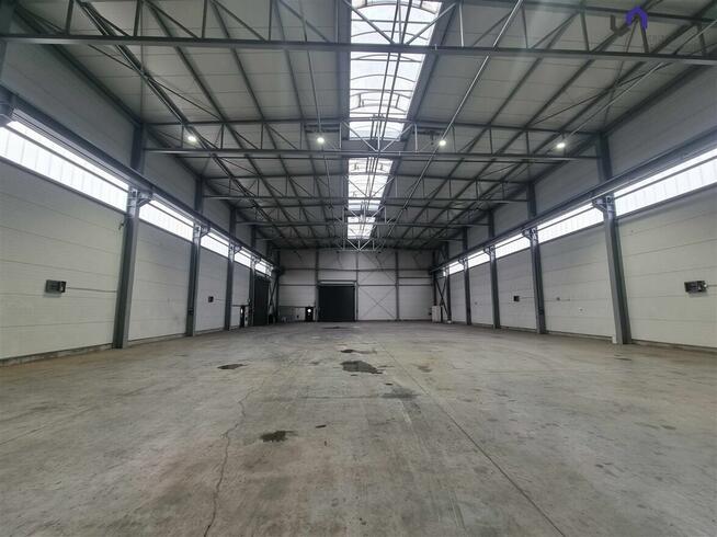 Lokal użytkowy Dąbrowa Górnicza Gołonóg