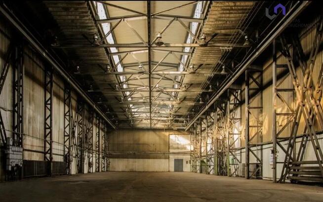 Lokal użytkowy Chorzów Batory