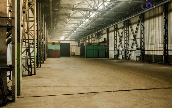 Lokal użytkowy Chorzów Batory