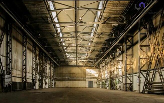 Lokal użytkowy Chorzów Batory