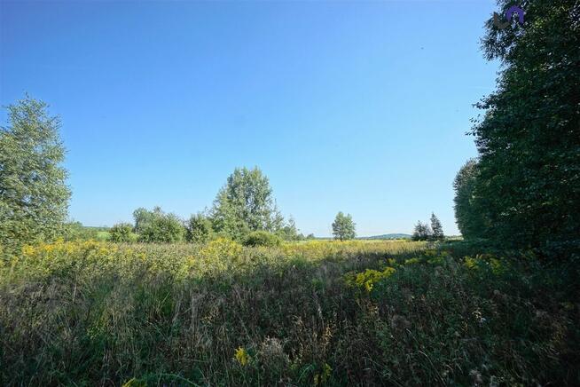 Działka rolna Dąbrowa Górnicza Błędów, Sztorcowa