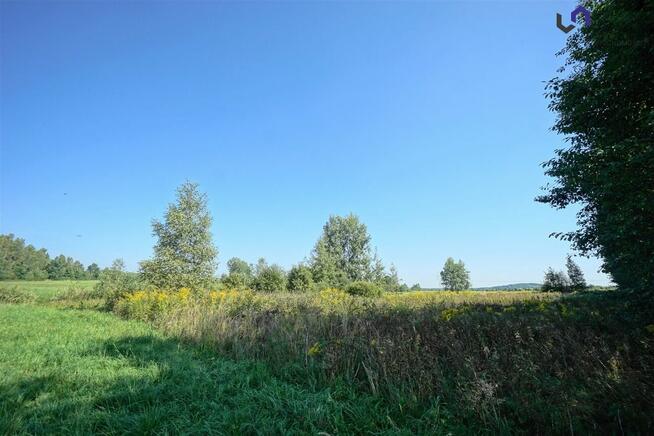 Działka rolna Dąbrowa Górnicza Błędów, Sztorcowa