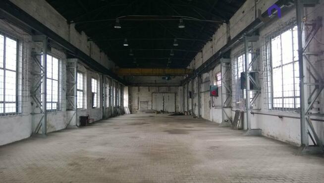 Lokal użytkowy Zabrze