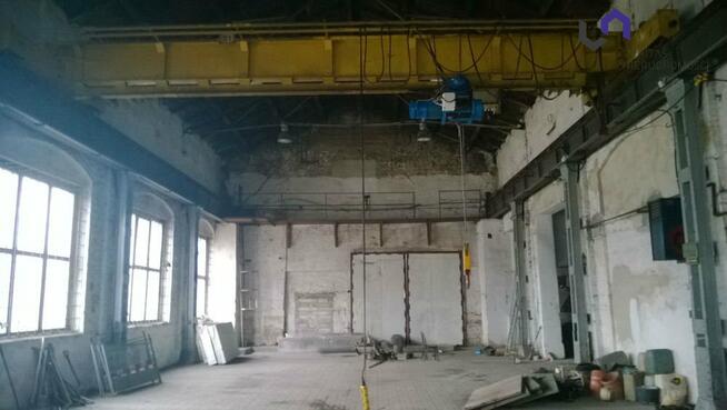 Lokal użytkowy Zabrze