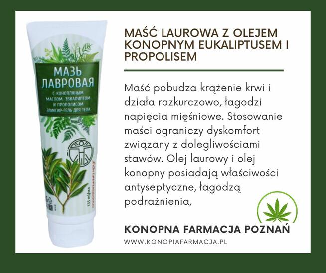 Maść laurowa na stawy z olejem konopnym, eukaliptusem i pro