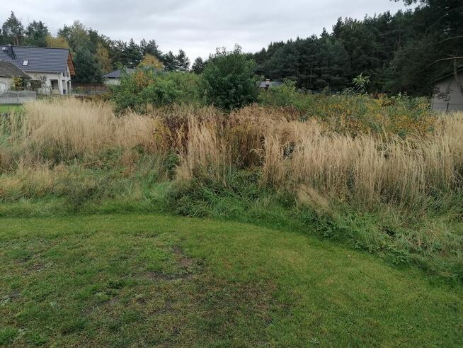 Mulczer leśny mulczowanie karczowanie czyszczenie działek