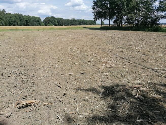 Mulczer leśny mulczowanie karczowanie czyszczenie działek