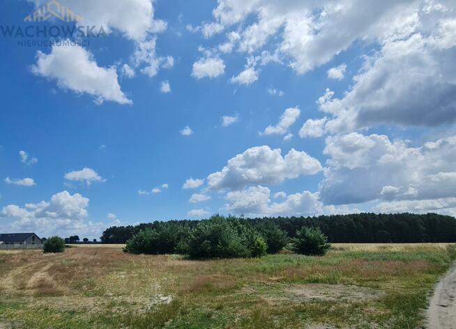 Działka budowlana Głogusz gm. Sulechów