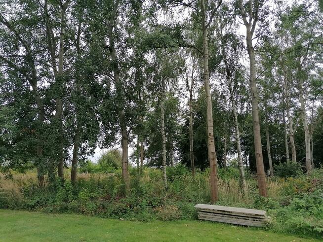 Mulczer leśny mulczowanie karczowanie czyszczenie działek