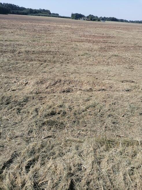 Mulczer leśny mulczowanie karczowanie czyszczenie działek