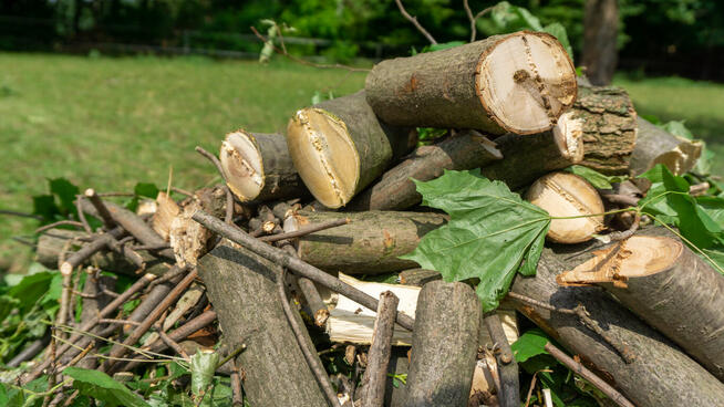 Rębak RS-100 noży 4