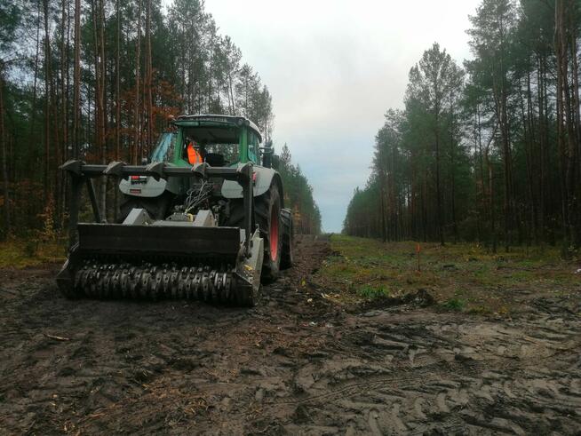 Karczowanie, Wycinka, Mulczowanie Pni, Zadrzewień i Zakrzaczeń