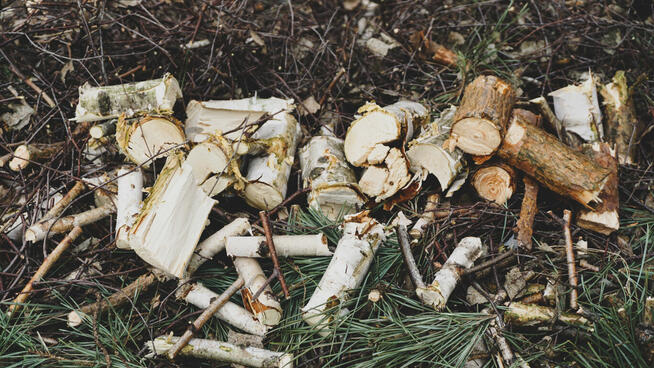 Rębak XR-50 – 2 ostrza