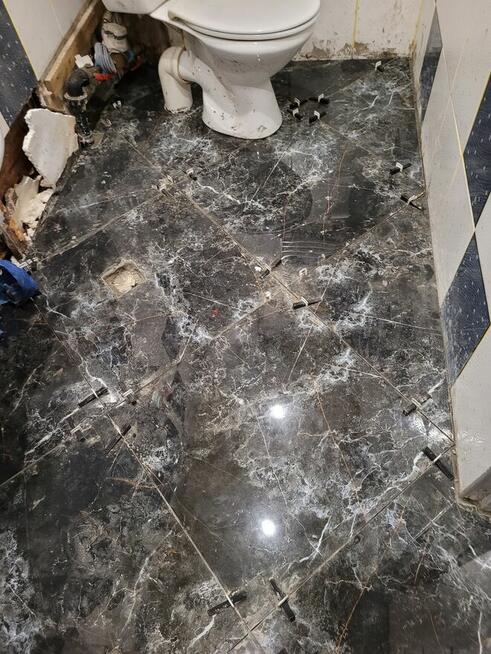 szukam pracy kierowca A,B,C , krojczy dzianin , prace fizycz