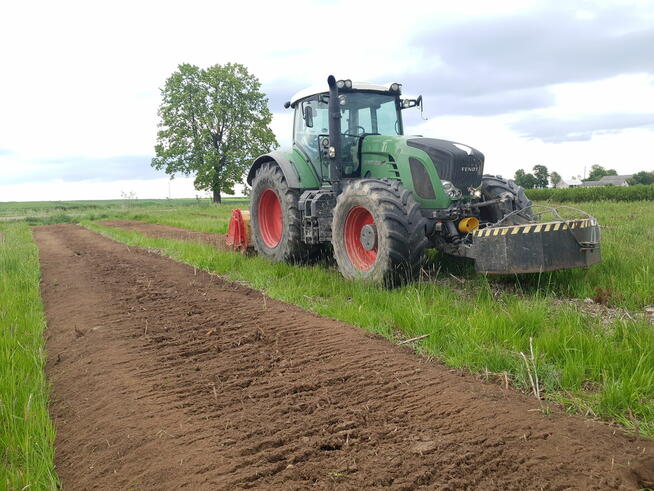 Karczowanie, Wycinka, Mulczowanie Pni, Zadrzewień i Zakrzaczeń