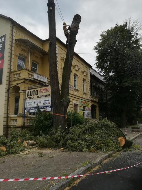 Wycinka drzewa Ogrodnictwo Frezowanie Pni Koszenie Trawy