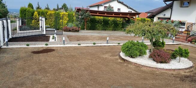 Wycinka drzewa Ogrodnictwo Frezowanie Pni Koszenie Trawy