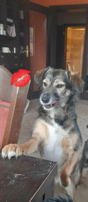 Lusia kochana ok 2 let. sunieczka blaga o dom Wioletta Maś