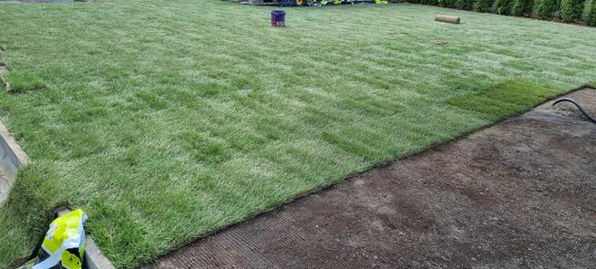 Wycinka drzewa Ogrodnictwo Frezowanie Pni Koszenie Trawy