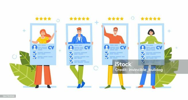 CV język polski, angielski, niderlandzki (holenderski)