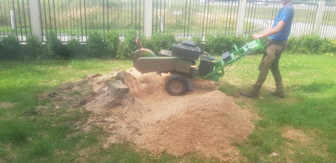 Wycinka drzewa Ogrodnictwo Frezowanie Pni Koszenie Trawy