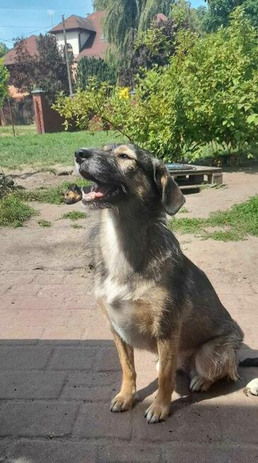 Lusia kochana ok 2 let. sunieczka blaga o dom Wioletta Maś