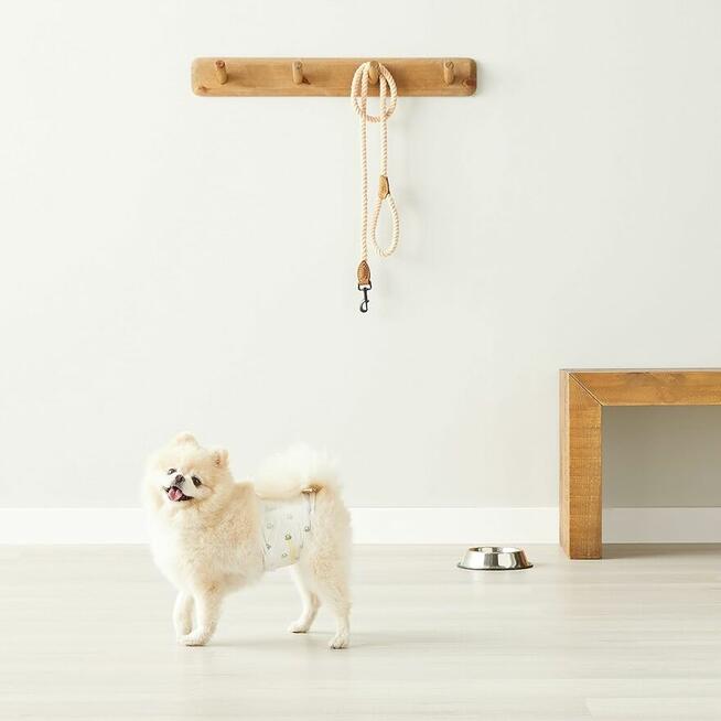 10x JEDNORAZOWE PIELUCHY DLA PSA M 40-53cm spaniel buldog go