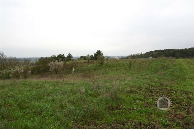 Działka z WZ w Nowym Kurowie, graniczy z lasem