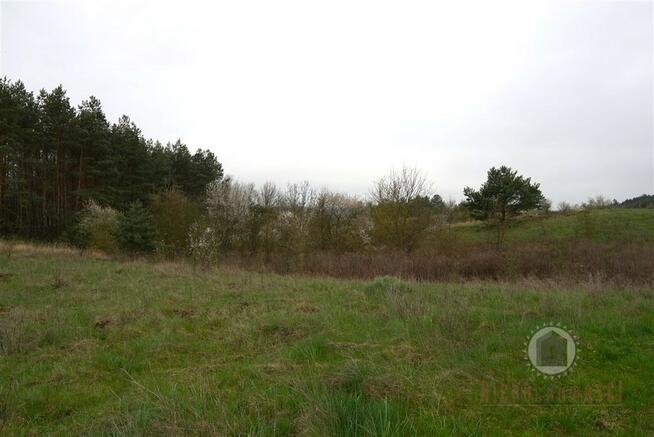 Działka z WZ w Nowym Kurowie, graniczy z lasem