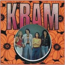 Muzyk Gitarzysta, DJ, Animator Karaoke