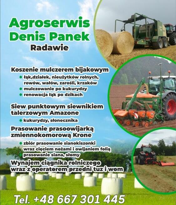 Usługi rolnicze siew kukurydzy mulczowanie prasowanie