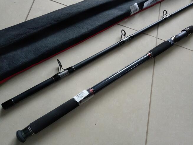 Wędka na suma Jaxon Zaffira Catfish 3m 450g