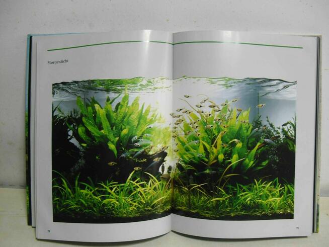 Akwarystyka - Das grose buch der naturaquarien - Takashi Amano