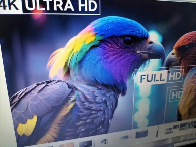 Telewizor United 4K Ultra HD.43 cale.DU58.Stereo