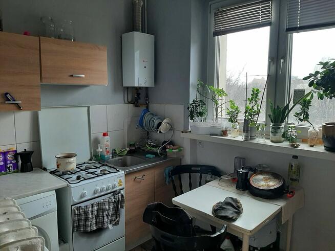 Mieszkanie 50m2 Wrocław Stare Miasto