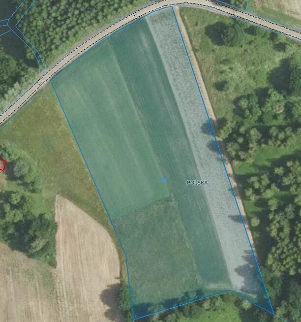 Widokowa działka rolna 1,12 ha do przekszt. w m. Grodzisko