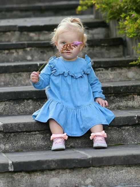 Fotograf - bezpłatne zdjęcia