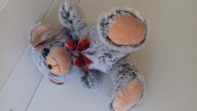 Miś szary „pluszak”, nowy, do sprzedania