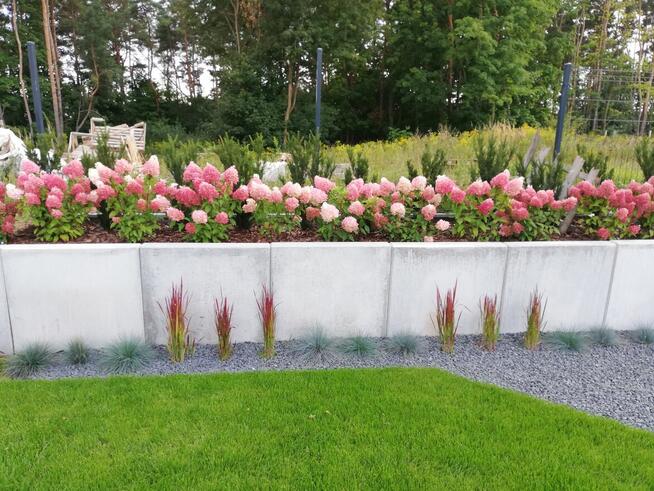 usługi ogrodnicze, ogrody piła, ogrody chodzież, ogrodnik