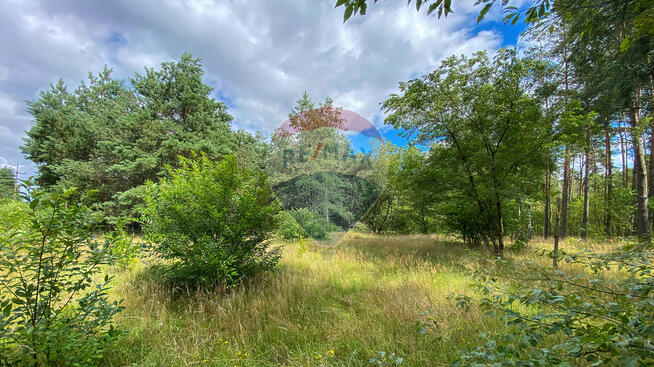Działka w sercu natury w miejscowości Poradź!