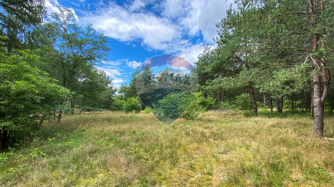 Działka w sercu natury w miejscowości Poradź!