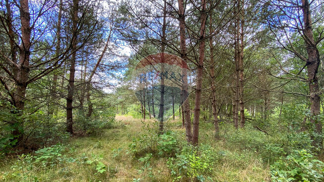 Działka w sercu natury w miejscowości Poradź!