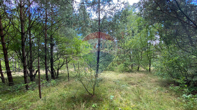 Działka w sercu natury w miejscowości Poradź!