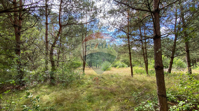 Działka w sercu natury w miejscowości Poradź!