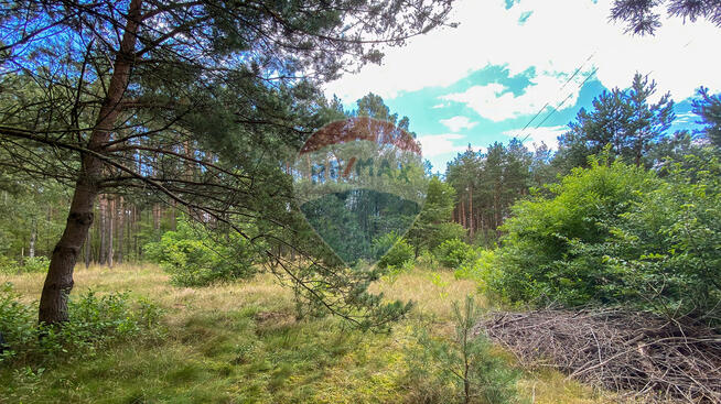 Działka w sercu natury w miejscowości Poradź!