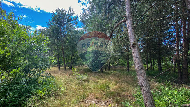 Działka w sercu natury w miejscowości Poradź!