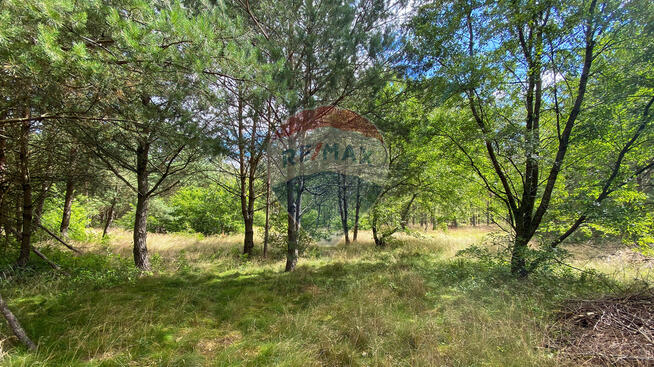 Działka w sercu natury w miejscowości Poradź!