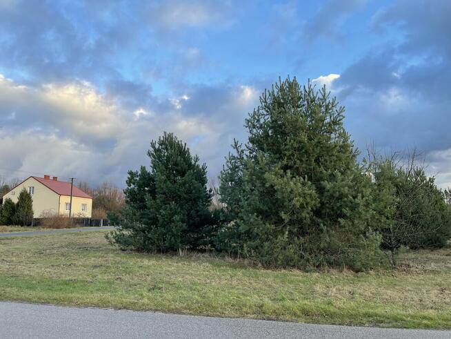 Działki w pobliżu wsi Wilga. Wieś Uśniaki.