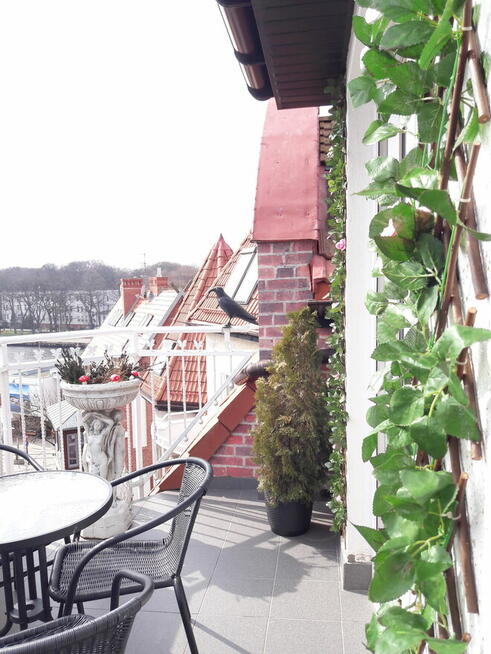 Apartament z Przepięknym widokiem na Morze