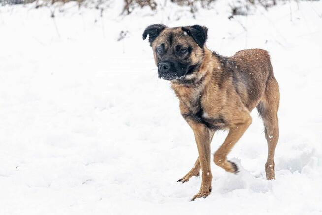 Młody wesoły cudowny Aniołek BŁAGA o ratunek
